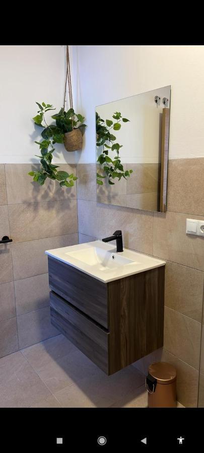Suites 5* Lahcene Alicante Exterior photo